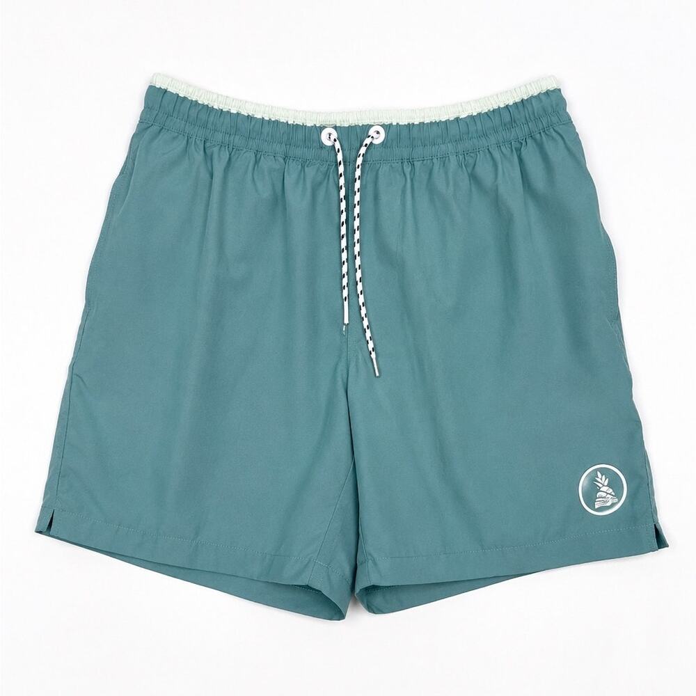 Chubbies 5.5” Lined Swim Trunks | Seafoam Green | Men’s Small